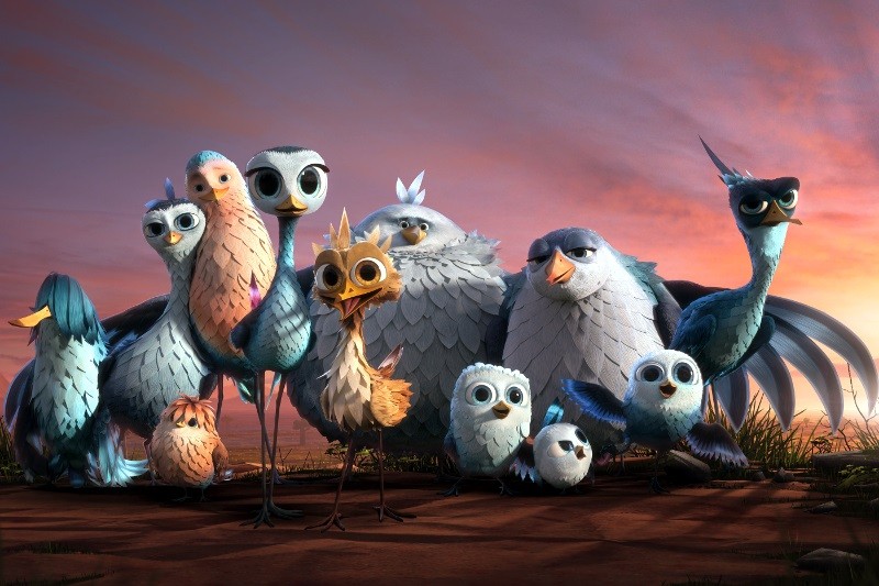 Grupa animowanych, kolorowych ptaków o dużych oczach i wyrazistych twarzach stoi razem na ziemi o zachodzie słońca. Każdy z nich prezentuje niepowtarzalny kształt, rozmiar i osobowość.