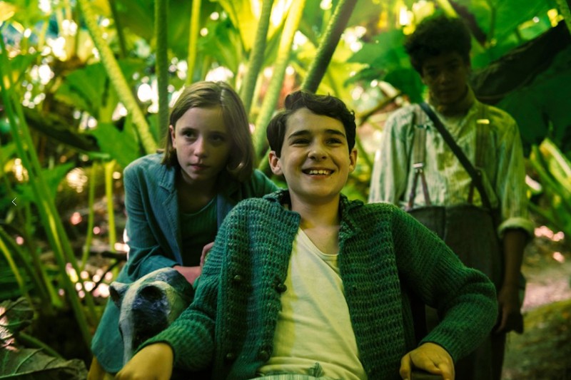 Trójka dzieci stoi blisko siebie w bujnej, zielonej dżungli. Chłopiec z przodu uśmiecha się i siedzi na wózku inwalidzkim, z dziewczynką i innym chłopcem za nim, wszyscy otoczeni dużymi liśćmi i rozproszonym światłem słonecznym.