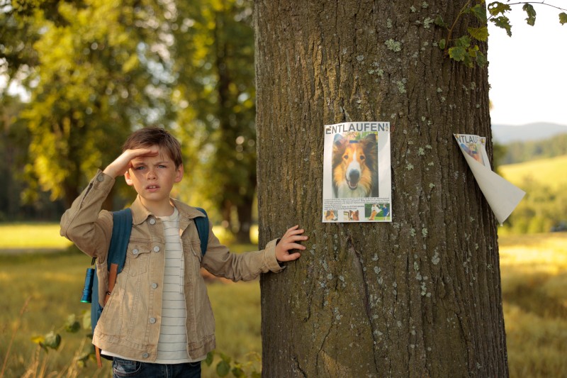 Młody chłopiec z plecakiem stoi przy drzewie, patrząc w dal, osłaniając oczy ręką. Na drzewie znajdują się dwa plakaty z zaginionym psem, na których widać zdjęcie psa i napis ENTLAUFEN!.