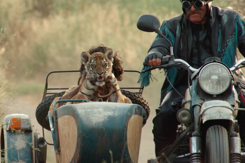 Osoba w goglach i kurtce z frędzlami jedzie motocyklem z wózkiem bocznym. Tygrys siedzi w wózku bocznym obok pasażera, patrząc przed siebie z wysuniętym językiem. Scena rozgrywa się na zewnątrz, na ścieżce gruntowej.