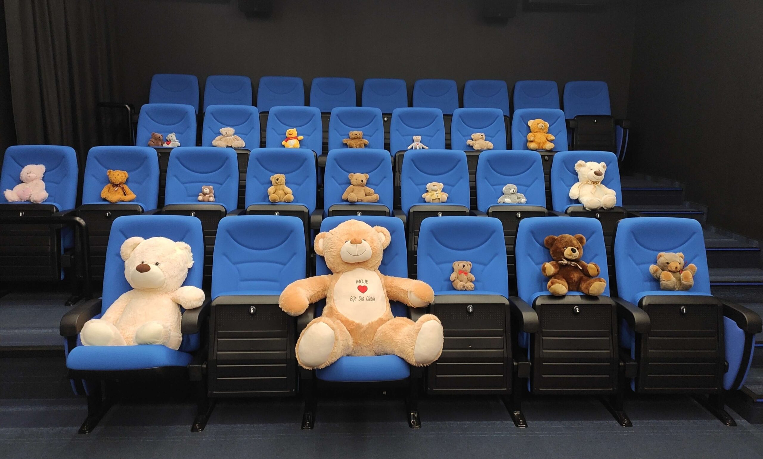 Niebieskie siedzenia w teatrze są zajęte przez misie w różnych rozmiarach i kolorach, każdy siedzi na osobnym krześle, co stwarza wrażenie widowni w pustej sali.