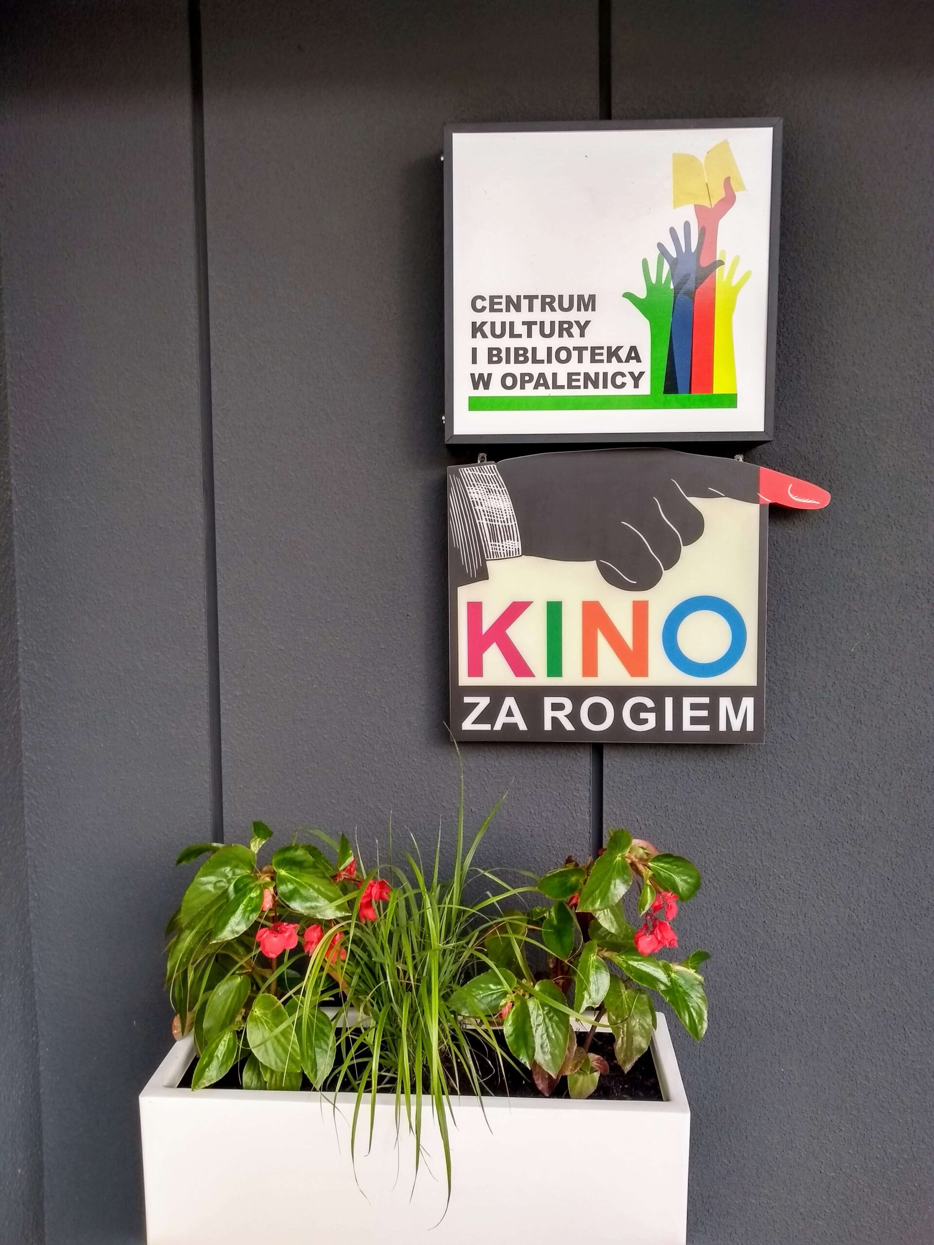 Biała donica z zielonymi roślinami i różowymi kwiatami znajduje się pod dwoma kolorowymi szyldami na szarej ścianie, na jednym z nich widnieje napis „CENTRUM KULTURY I BIBLIOTEKA W OPALENICY”, na drugim „KINO ZA ROGIEM”.