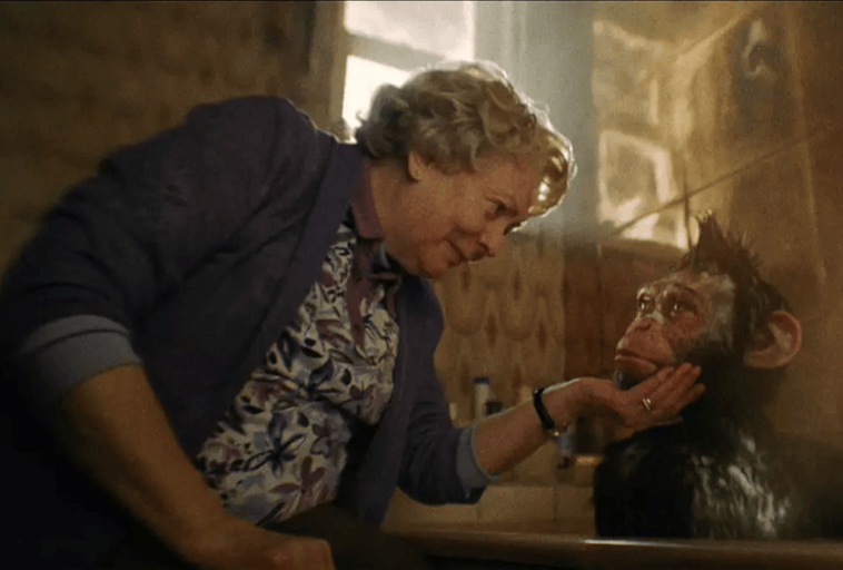 Starsza kobieta delikatnie trzyma podbródek młodego szympansa siedzącego w wannie, dzieląc się czułą chwilą w delikatnie oświetlonej, przytulnej łazience.