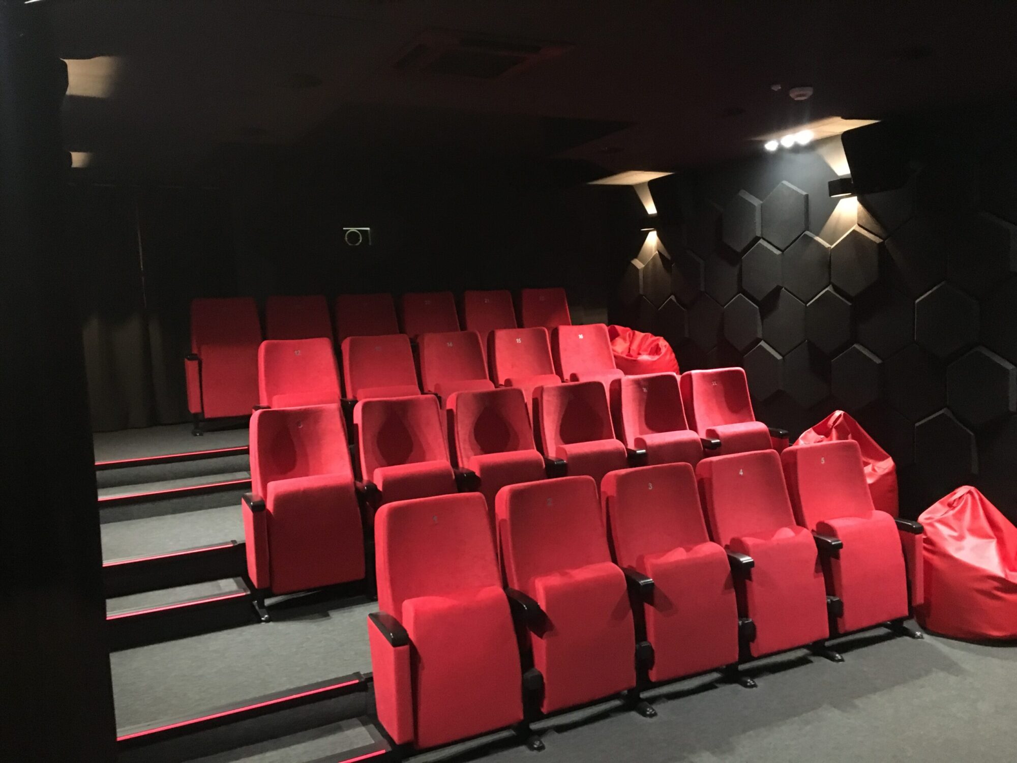 Małe, puste kino z czerwonymi, wyściełanymi krzesłami ustawionymi w rzędach na schodkowej podłodze. Czarne ściany mają sześciokątny wzór, a po prawej stronie umieszczono kilka czerwonych worków z fasolą.