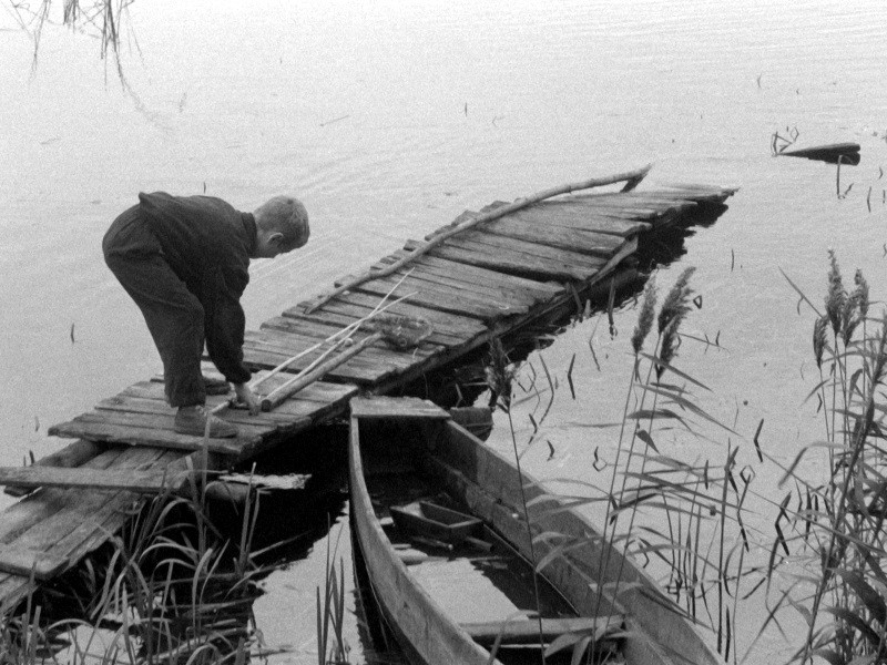 Chłopiec pochyla się nad zniszczonym drewnianym pomostem nad wodą, poprawiając wędkę. Niedaleko zacumowana jest mała łódź wiosłowa, a wzdłuż brzegu wody rosną trzciny. Scena wydaje się spokojna i wiejska.