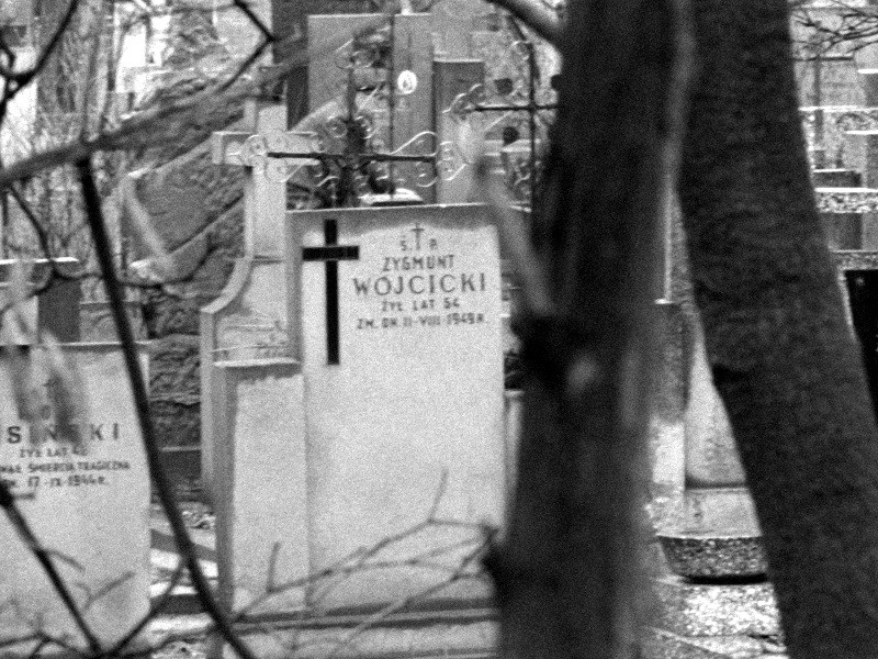 Czarno-białe zdjęcie cmentarza z nagrobkami i metalowymi krzyżami. Na centralnym nagrobku wyryte jest nazwisko Zygmunt Woycicki, a na pierwszym planie częściowo zasłaniają go gałęzie drzew.