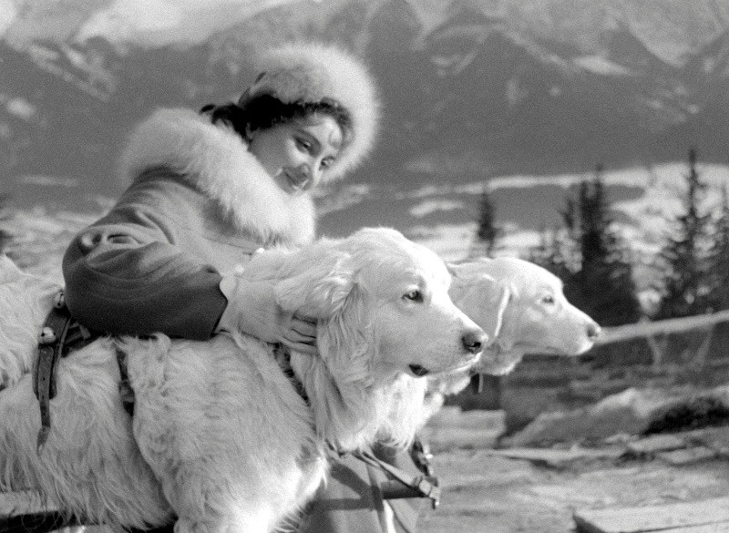 Kobieta w futrzanym płaszczu i czapce uśmiecha się, głaszcząc dwa duże białe psy na zewnątrz, w tle widać ośnieżone góry i sosny. Scena wydaje się zimna i zimowa.