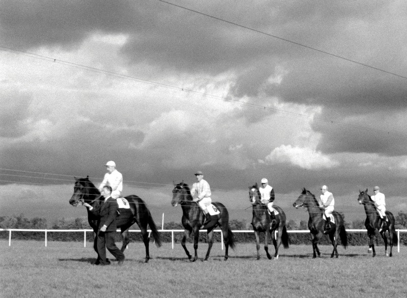 Pięciu dżokejów na koniach jest prowadzonych po trawiastym torze wyścigowym pod zachmurzonym niebem, a osoba prowadzi przedniego konia. Scena jest czarno-biała, a płot biegnie równolegle do jeźdźców w tle.