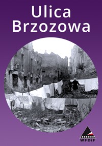 Plakat Ulica Brzozowa z dużym białym tekstem u góry. Poniżej czarno-białe zdjęcie pokazuje wąską, zrujnowaną ulicę z praniem wiszącym między zniszczonymi budynkami. Tło jest fioletowe z logo WFDIF w prawym dolnym rogu.