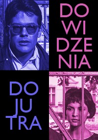 Plakat do filmu Do widzenia, do jutra przedstawiający mężczyznę w okularach przeciwsłonecznych w odcieniach błękitu i kobietę w odcieniach różu, oddzielonych dużym stylizowanym tekstem w języku polskim.