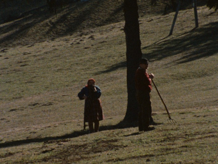 Osoba trzymająca grabie oraz osoba w sukience i chuście na głowie stoją na trawiastym podłożu w pobliżu drzewa, na tle pochyłego terenu i cieni.