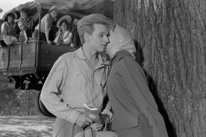 Kobieta w chuście na głowie szepcze coś do blondyna trzymającego książkę przy drzewie, podczas gdy kilka osób obserwuje ją z tyłu drewnianej ciężarówki w tle.