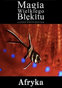 Prążkowana ryba pływa przed rozmytym pomarańczowo-niebieskim tłem wodnym. Polski tekst powyżej brzmi Magia Wielkiego Błękitu, a poniżej Afryka.