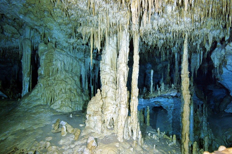 Wnętrze jaskini z licznymi stalaktytami zwisającymi z sufitu i wysokimi stalagmitami wyrastającymi z podłogi, oświetlone sztucznym światłem.