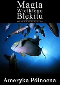 Grupa ryb pływających pod wodą, z prześwitującym światłem słonecznym, na niebieskim tle. Tekst w języku polskim brzmi Magia Wielkiego Błękitu i Ameryka Północna.
