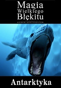 Duża foka z otwartą paszczą pływa pod wodą, zwrócona twarzą do kamery. Polski tekst brzmi: Magia Wielkiego Błękitu: Antarktyka.