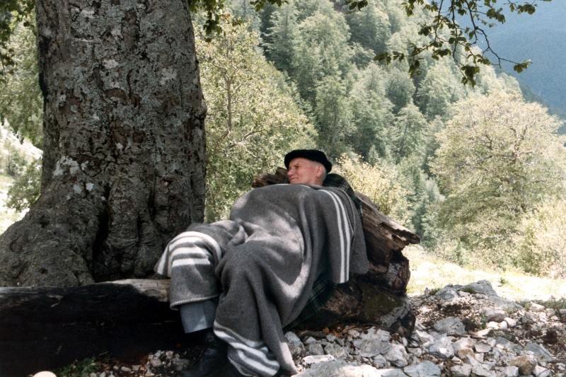 Osoba w kapeluszu leży owinięta w koc, odpoczywając oparta o duży pień drzewa na zewnątrz, otoczona skałami i bujną zielenią drzew w słoneczny dzień.