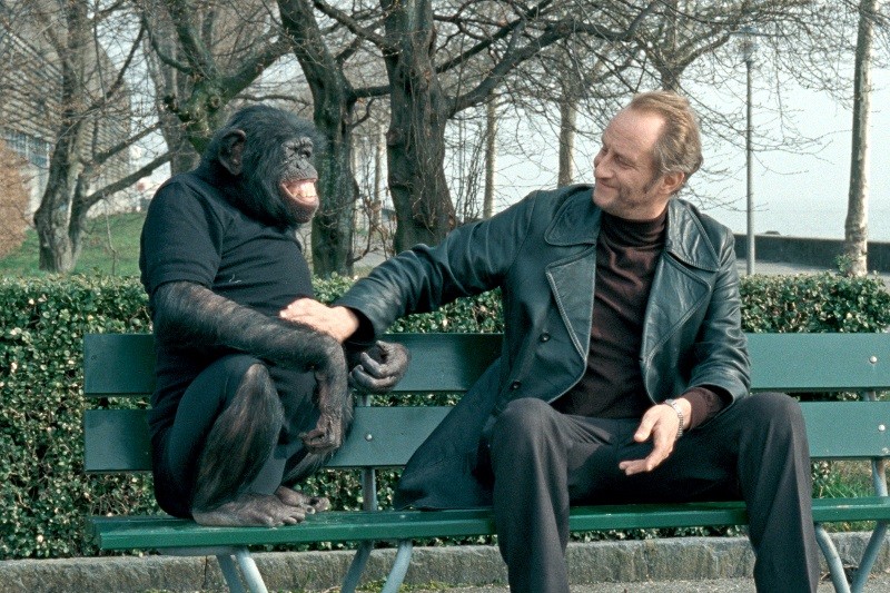 Mężczyzna w czarnym płaszczu siedzi na ławce, uśmiecha się i ściska dłoń szympansa ubranego w czarny T-shirt. Wygląda na to, że cieszą się swoim towarzystwem na świeżym powietrzu z drzewami w tle.
