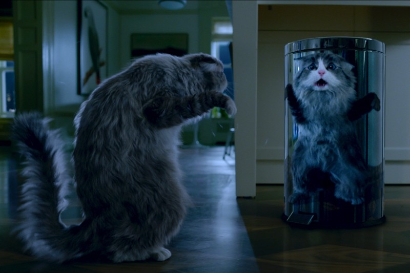 Puszysty, szary kot stoi z uniesionymi łapami, zaskoczony swoim odbiciem w błyszczącym metalowym koszu na śmieci w pomieszczeniu, co wywołuje zabawny i zaskoczony wyraz twarzy.