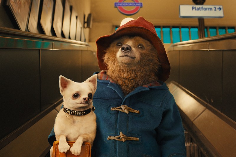 Niedźwiedź w czerwonym kapeluszu i niebieskim płaszczu stoi na ruchomych schodach obok małego białego psa z obrożą z klejnotami. Wygląda na to, że są na podziemnej stacji kolejowej z nad głowami wiszą znaki.