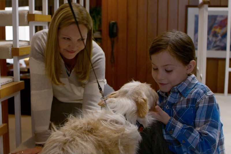 Kobieta i mała dziewczynka uśmiechają się, wchodząc w interakcję z jasnobrązowo-białym psem w pomieszczeniu. Kobieta trzyma smycz psa, a dziewczynka delikatnie głaszcze go po nosie.