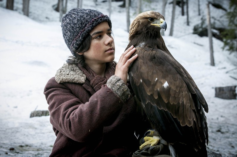 Młoda osoba w zimowym płaszczu i wełnianej czapce delikatnie trzyma dużego brązowego orła z żółtymi szponami na tle ośnieżonego lasu.