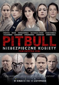 Plakat filmu Pitbull: Niebezpieczne Kobiety przedstawiający sześć kobiet w górnej połowie i sześciu mężczyzn w dolnej połowie, wszyscy z poważnymi minami. Tytuł jest pogrubiony na czerwono i biało w środku.