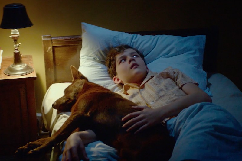 Chłopiec leży w łóżku pod niebieskim kocem, patrząc w górę z zamyślonym wyrazem twarzy, tuląc brązowego psa leżącego obok niego. Zapalona lampa stoi na drewnianej szafce nocnej obok łóżka.