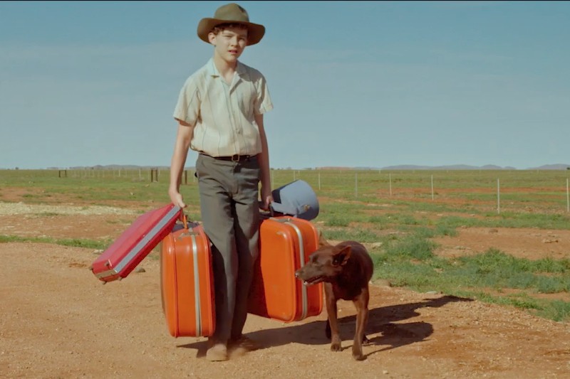 Chłopiec w kapeluszu z szerokim rondem niesie dwie duże pomarańczowe walizki i czerwone pudełko, idąc po ścieżce gruntowej z czarnym psem. W tle widać płaskie, trawiaste pola pod czystym, błękitnym niebem.