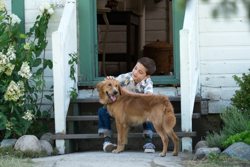 Młody chłopiec siedzi na schodach ganku, delikatnie głaszcząc golden retrievera. Dom jest biały z zielonymi wykończeniami, a wokół schodów są kwiaty i zieleń. Zarówno chłopiec, jak i pies wyglądają na zadowolonych.