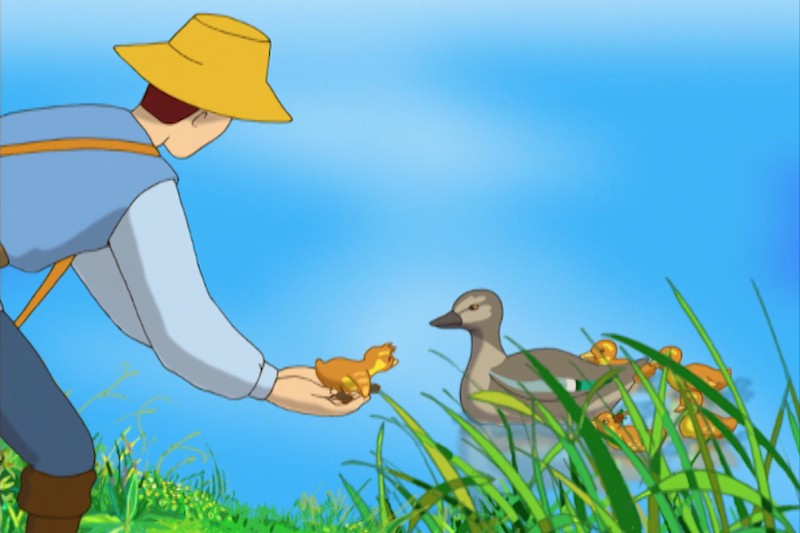 Osoba ubrana w słomkowy kapelusz i niebieską koszulę pochyla się, aby oddać żółte kaczątko mamie i jej kaczątkom, otoczonym zieloną trawą pod jasnoniebieskim niebem.