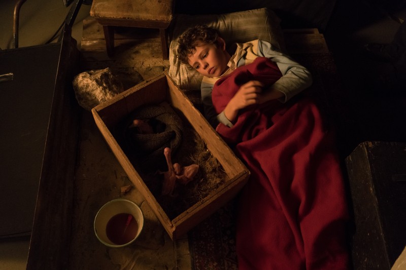 Chłopiec śpi na poduszce, pod czerwonym kocem, obok drewnianej skrzynki, w której znajduje się małe stworzenie i słoma, a obok stoi miska z płynem, w słabo oświetlonym pokoju.