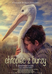 Młody chłopiec przytula dużego białego pelikana na trawiastym polu o zachodzie słońca. Polski tekst u góry i na dole zawiera tytuł filmu Chłopiec z burzy i napisy końcowe. Niebo jest częściowo zachmurzone z ciepłym światłem słonecznym.
