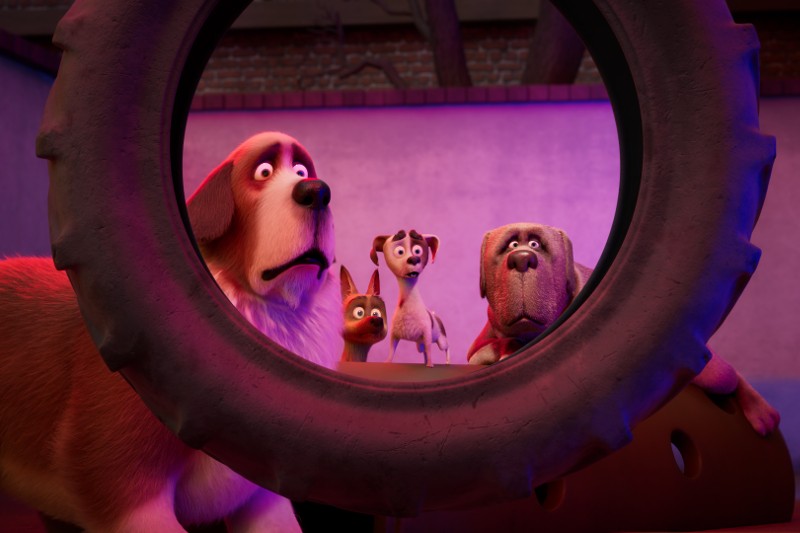 Cztery animowane psy o zaskoczonych minach patrzą przez dużą oponę w słabo oświetlonym pokoju z fioletowym i różowym oświetleniem. Psy różnią się wielkością i rasą, wydają się przestraszone lub zaniepokojone.