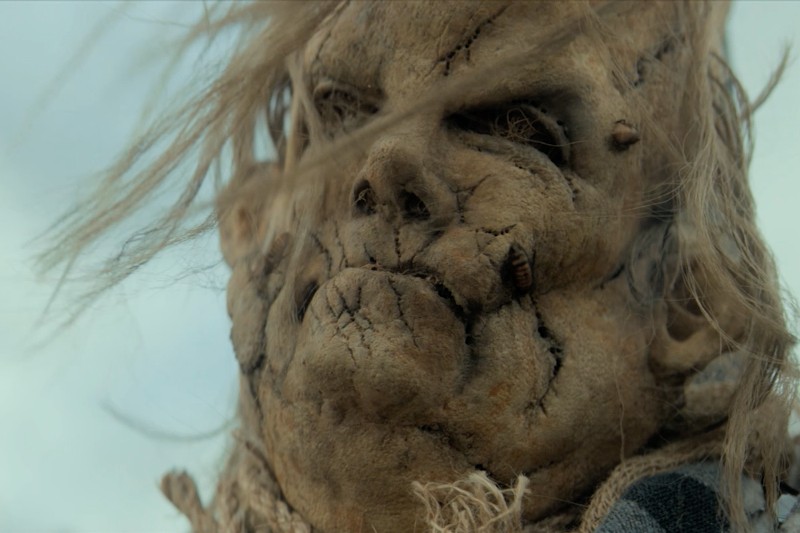 Zbliżenie zniszczonej, niesamowitej twarzy stracha na wróble o szorstkich, popękanych rysach, splątanych słomianych włosach i widocznych robakach wypełzających z niej, na tle rozmazanego, bladego nieba.