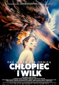 Plakat filmu Chłopiec i Wilk przedstawia chłopca z pomalowaną twarzą patrzącego w górę, a nad nim góruje wielka twarz wilka. Tytuł i napisy końcowe filmu są wyświetlane na dole w języku polskim.