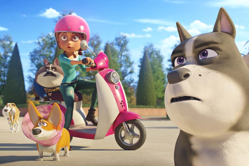 Kobieta w różowym kasku jedzie na różowym skuterze, otoczona trzema animowanymi psami, z których jeden nosi obrożę w kształcie stożka. W tle widać drzewa i czyste niebo.