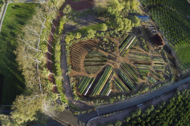 Widok z lotu ptaka na misternie zaprojektowany ogród warzywny z geometrycznymi ścieżkami, otoczony drzewami i zielenią, tuż przy drodze.