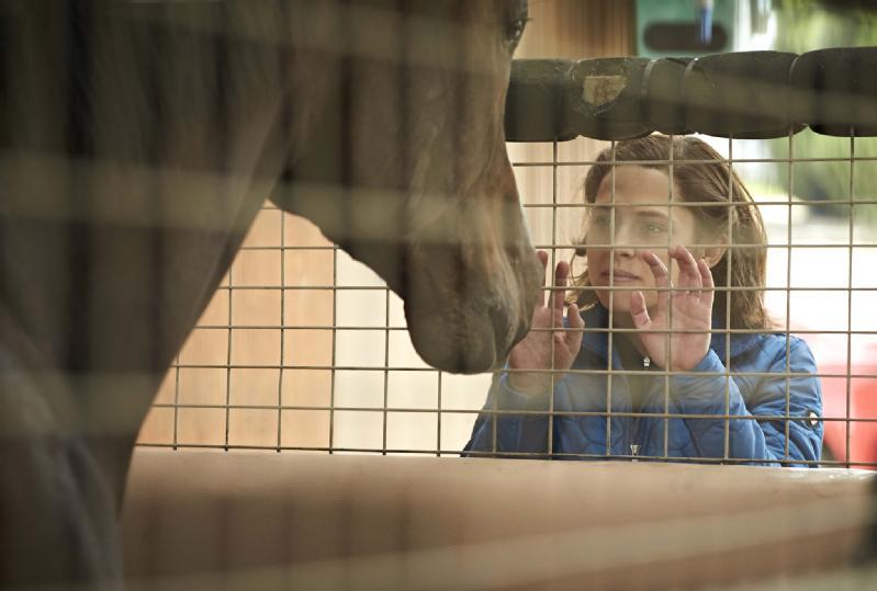 Kobieta w niebieskiej kurtce stoi za drucianym ogrodzeniem, unosząc ręce i patrząc na konia po drugiej stronie ogrodzenia. Głowa konia znajduje się blisko ogrodzenia, a scena wydaje się rozgrywać w stajni.