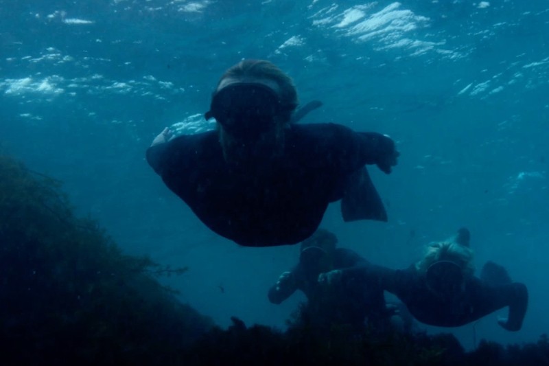 Trzy osoby ubrane w ciemne pianki i maski pływają pod wodą w pobliżu wodorostów, oświetlane światłem słonecznym padającym z góry, co tworzy błękitną, wodną atmosferę.