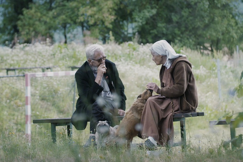 Starszy mężczyzna i kobieta siedzą na drewnianej ławce na zewnątrz, na trawiastym terenie, rozmawiając. Kobieta głaszcze psa obok siebie. Drzewa i kwiaty polne wypełniają tło w słoneczny dzień.