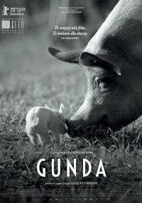 Czarno-biały plakat filmowy przedstawia zbliżenie świni tulącej prosiaczka. Tekst brzmi: „Do najmądrzejszego nieruchomego filmu. Do najgorętszej nieruchomej historii”. Tytuł „GUNDA” pojawia się na dole, a nad nim loga festiwali filmowych.