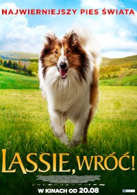 Plakat filmowy przedstawiający psa rasy collie biegnącego po zielonej trawie z niebieskim niebem i wzgórzami w tle. Polski tekst u góry i tytuł Lassie, wróć! jest widoczny na dole.