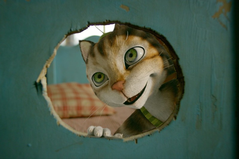 Szeroko otwarty, animowany kot z brązowo-białym futrem uśmiecha się figlarnie, zerkając przez okrągły otwór w niebieskiej drewnianej powierzchni. W tle widoczna jest kratkowana poduszka.