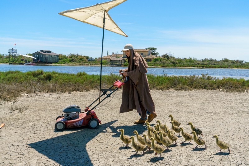 Osoba w długim płaszczu i kapeluszu pcha czerwoną kosiarkę z dużym parasolem, prowadząc grupę kaczątek przez suchą, popękaną ziemię w pobliżu brzegu rzeki. W tle widoczne są budynki i drzewa.