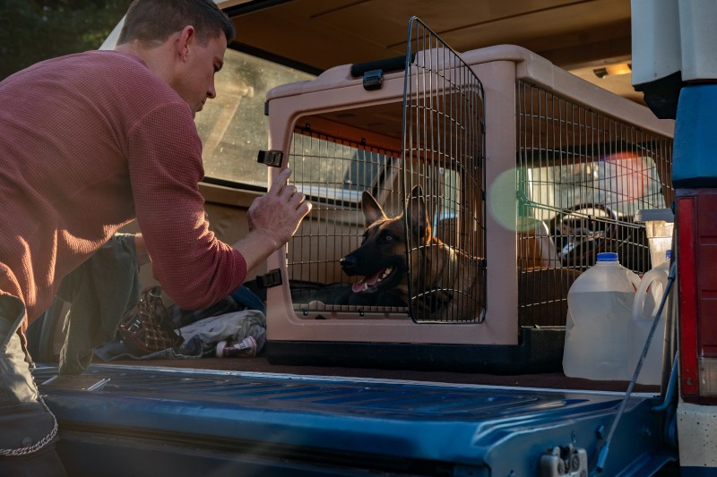 Mężczyzna klęczy przy otwartym tyle pojazdu, trzymając telefon, aby zrobić zdjęcie szczęśliwemu psu siedzącemu w dużej skrzyni. W pobliżu znajdują się dzbanki z wodą i ubrania, sugerujące podróż lub wycieczkę samochodową.
