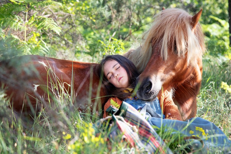 Młoda dziewczyna o długich, ciemnych włosach śpi spokojnie, opierając się o brązowego kucyka z blond grzywą. Odpoczywają na trawie w nasłonecznionym, zielonym, zalesionym terenie, otoczonym dzikimi kwiatami i liśćmi.