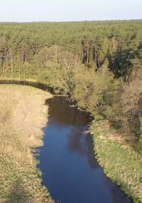 Wąska rzeka wije się wśród trawiastych brzegów i zielonych drzew, a w tle widać gęsty las pod czystym, błękitnym niebem.