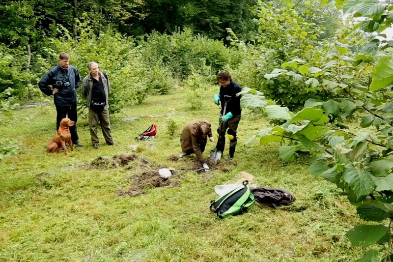 Cztery osoby znajdują się na trawiastym, zalesionym terenie; jedna osoba kopie w ziemi, podczas gdy druga pomaga, a dwie stoją w pobliżu, jedna z psem. Plecaki i sprzęt są rozrzucone na trawie. Gęste zielone drzewa otaczają ich.