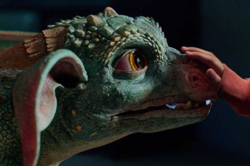 Zbliżenie na twarz zielonego smoka o teksturowanych łuskach i dużych bursztynowych oczach, którego nos delikatnie dotyka dłoń dziecka ubranego w czerwony rękaw.